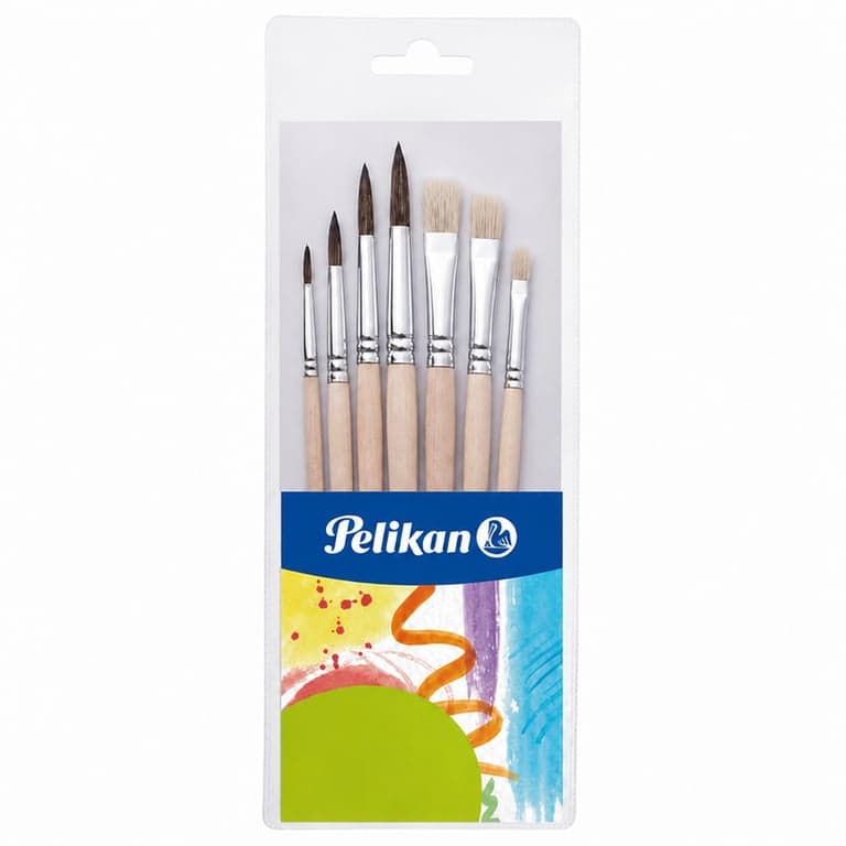 Set de pensule pentru începători Pelikan, 6 buc. (incomplet, utilizat) – 5 pensule cu păr natural și 5 pensule cu peri sintetici pentru școală, dimensiuni variate (4-12)