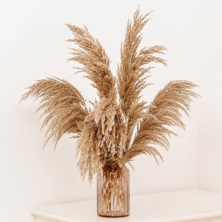 GOALS Buchet de iarbă de pampas, 10 fire, decorațiune maro stil boho, 60 cm, buchet de flori uscate pentru nuntă și decor de toamnă pentru casă