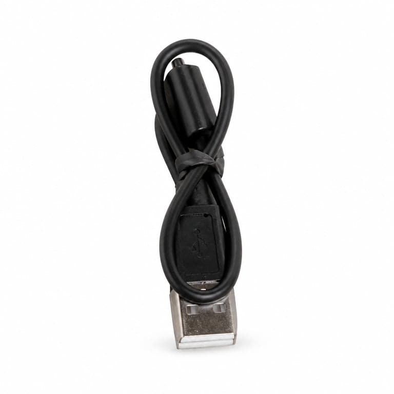 Cablu de încărcare USB — Sony WI-C310 Bluetooth wireless (piesă de schimb)