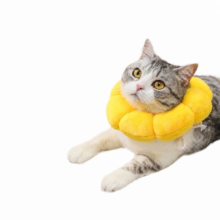 Set Guler de Protecție Moale și Perie din Silicon pentru Pisici DKDDSSS, Guler de Protecție Reglabil Anti-mușcătură pentru Câini și Pisici, Post-operator pentru Animale de Companie — Set 1 buc.